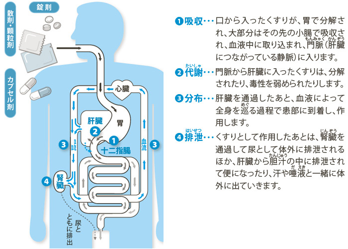 くすりの流れイメージ