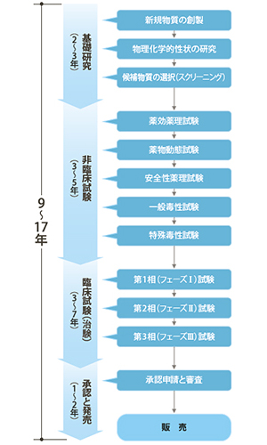 新薬開発のプロセスと期間