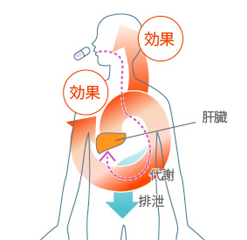 体の中でくすりはどうなりますか？