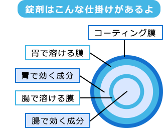 くすりはかみくだいたほうが、早く効（き）きますか？