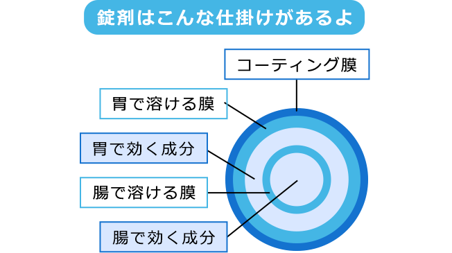 くすりはかみくだいたほうが、早く効（き）きますか？