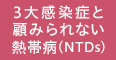 3大感染症と顧みられない熱帯病（NTDs）