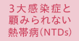 3大感染症と顧みられない熱帯病（NTDs）