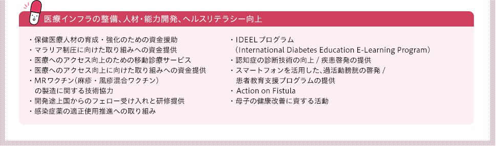医療インフラの整備、人材・能力開発、ヘルスリテラシー向上
