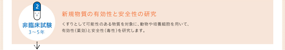 ２ 非臨床試験 3〜5年　新規物質の有効性と安全性の研究　 くすりとして可能性のある物質を対象に、動物や培養細胞を用いて、有効性（薬効）と安全性（毒性）を研究します。