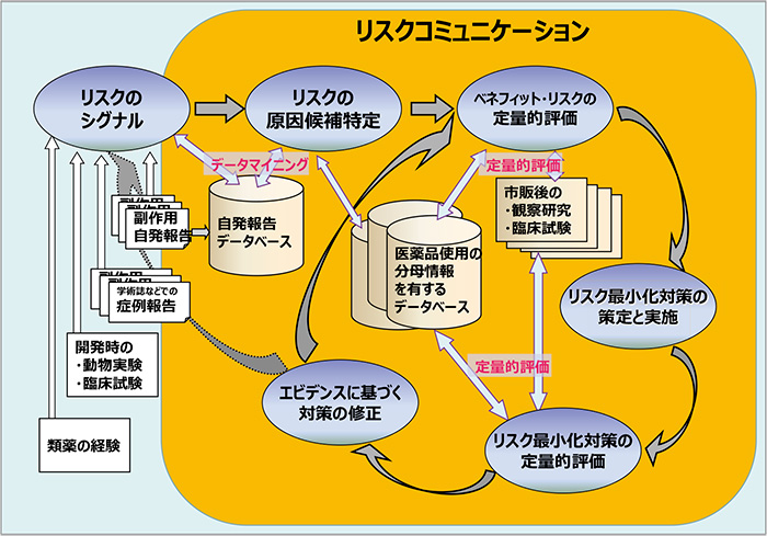 図1　医薬品のリスクマネジメント