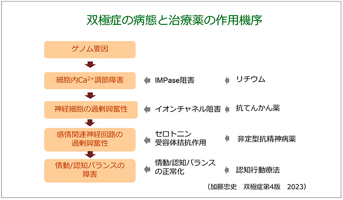 図16　双極性障害の病態と治療薬について<