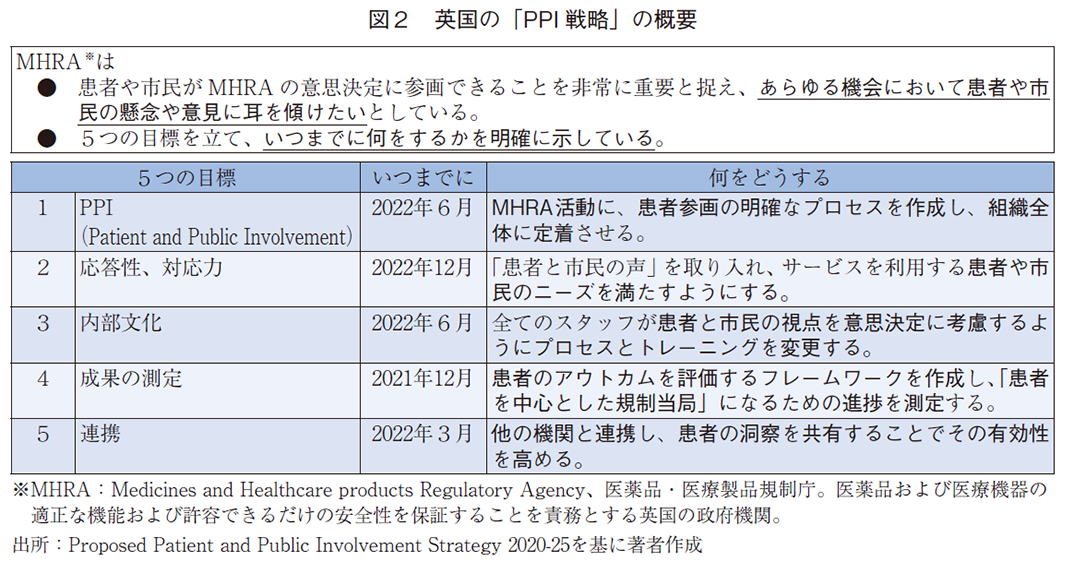 図2 英国の「PPI 戦略」の概要