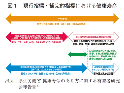 図1 現行指標・補完的指標における健康寿命